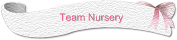 Team Nursery